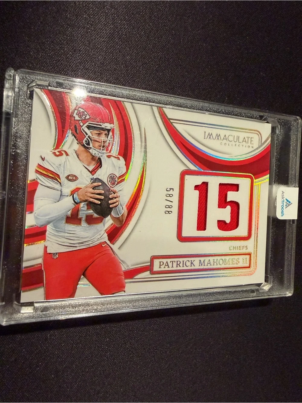 Panini product 2024